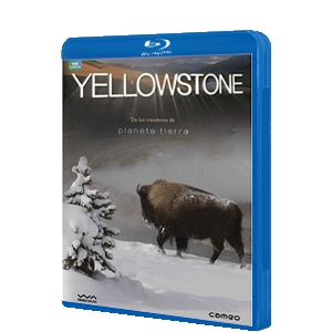 Yellowstone - Edicion Especial