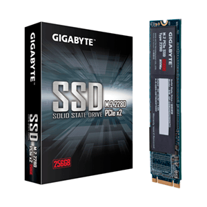 GIGABYTE 256GB - Disco duro interno SSD 2280 M.2