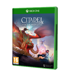 Citadel Forged With Fire