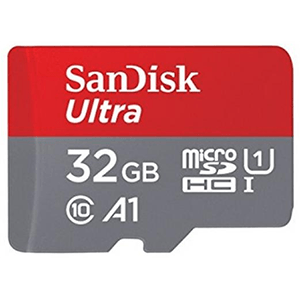 Memoria Sandisk 32Gb microSDHC UHS-I C10 R100
