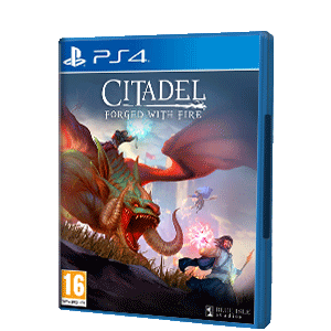 Citadel Forged With Fire