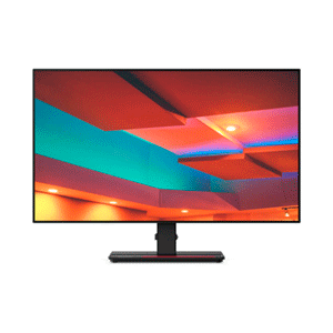 Lenovo ThinkVision P27H-20 - 27´´ - IPS - W2K QHD - Monitor