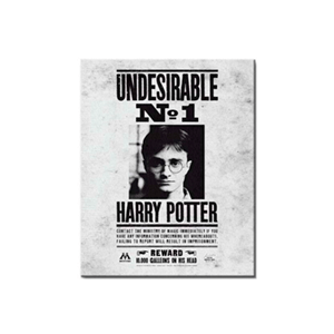 Lienzo 30x40 Harry Potter: Indeseable nº 1 para Merchandising en GAME.es