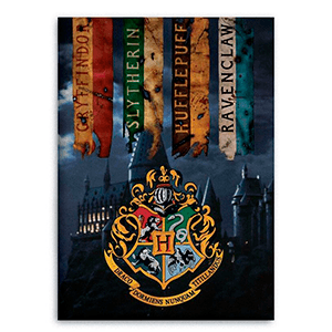 Manta Polar Harry Potter: Casas de Hogwarts