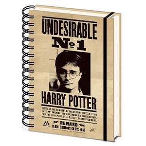 Cuaderno A5 Espiral Harry Potter Sirius & Harry 3D