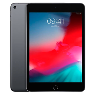 iPad Mini 5 Wifi 64Gb Gris Espacial
