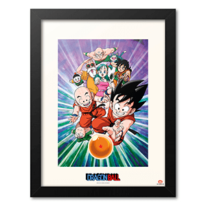 Lienzo 30x40 cm Dragon Ball Z: Team