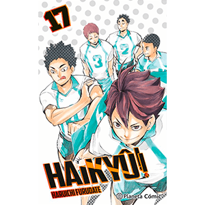 Haikyû!! nº 17