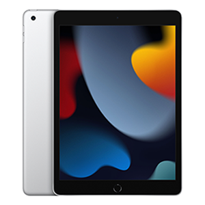 iPad 9 Wifi 256Gb Plata