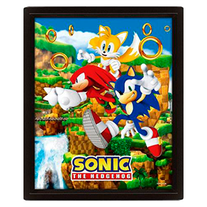 Cuadro 3D Sonic the Hedgehog: Anillos