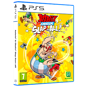 Asterix & Obelix Slap Them All !