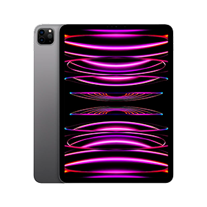 iPad Pro 11" 4ºGen Wifi 256Gb Gris Espacial iPad Pro 11" 4ºGen Wifi 256Gb Gris Espacial