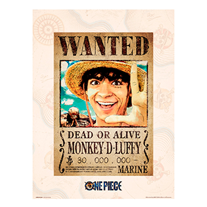 Lámina One Piece: Monkey D. Luffy WANTED