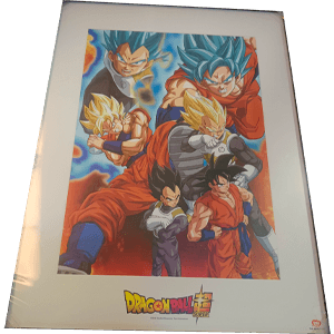 Print Enmarcado 30cmx40cm Dragon Ball Super: Goku y Vegeta Torneo Champa