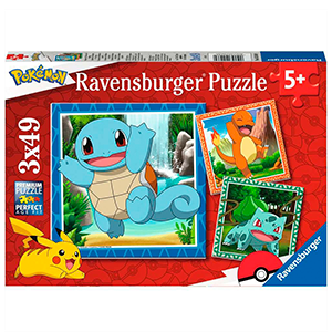 Puzzle Pokemon 3x49