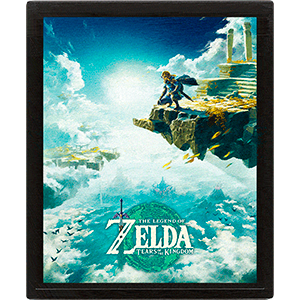 Cuadro 3D The Legend of Zelda: Tears of the Kingdom