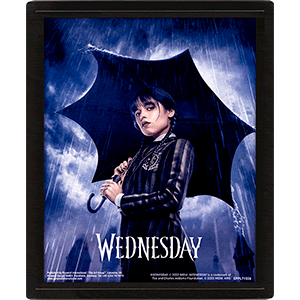 Cuadro 3D Wednesday: Umbrella