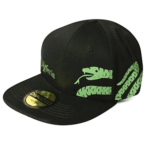 Gorra Harry Potter: Slytherin