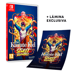 The Karate Kid Street Rumble