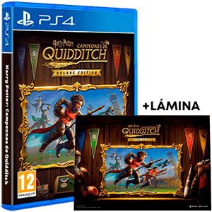 Harry Potter Campeones de Quidditch Deluxe Edition