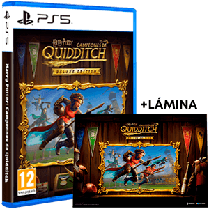 Harry Potter Campeones de Quidditch Deluxe Edition