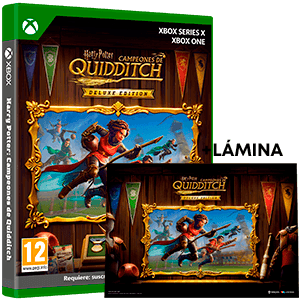 Harry Potter Campeones de Quidditch Deluxe Edition