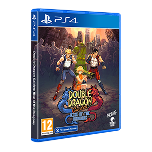 Double Dragon Gaiden Rise of the Dragons