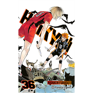 Haikyû!! nº 36/45