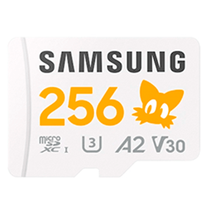 Memoria Samsung 256GB microSDXC Tails (REACONDICIONADO)