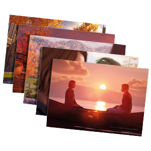Life is Strange Reunion – Set de postales Exclusivo GAME