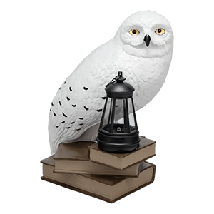 Figura de Exterior con Luz Harry Potter Hedwig Gnome Light