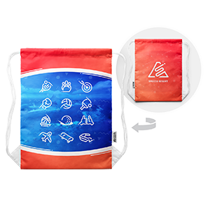 Nintendo Switch Sports Resort - Bolsa Exclusivo GAME