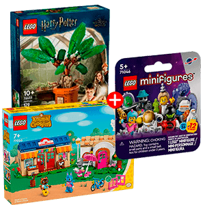 Pack Set Construcción LEGO + 1 Minifigura LEGO Pack Set Construcción LEGO + 1 Minifigura LEGO
