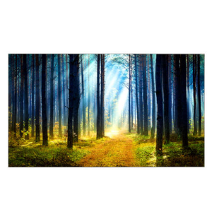 TV PRO LG OLED 65" (65WT980H) 500CD 3840x2160 UHD - Televisor TV PRO LG OLED 65" (65WT980H) 500CD 3840x2160 UHD - Televisor