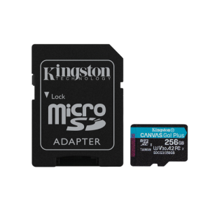 Kingston Technology Canvas Go! Plus 256GB SD Clase 10 UHS-I - Tarjeta Memoria