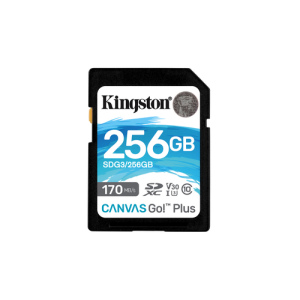 Kingston Canvas Go 256GB SDXC UHS-I CL1 - Tarjeta Memoria