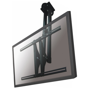 Newstar Soporte de techo para TV