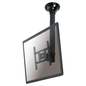 Newstar Soporte de techo para TV