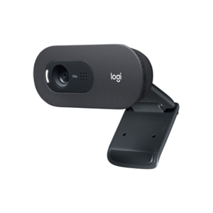 Logitech C505 1280 x720 Pixeles USB Negro - Webcam