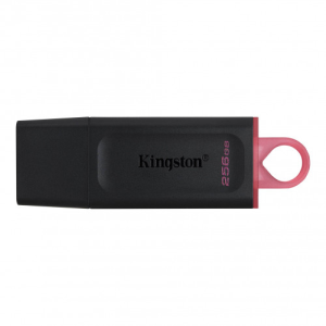 Kingston DataTraveler Exodia 256GB USB 3.2 - Pendrive para PC en GAME.es