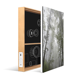 Energy sustem Frame Speaker Forest - Altavoz Energy sustem Frame Speaker Forest - Altavoz