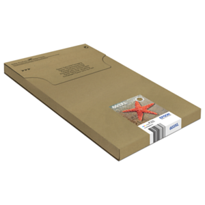 Epson Multipack 4-colours 603XL EasyMail