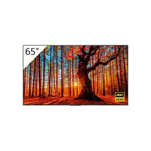 Sony 65" 4K Android BRAVIA with Tuner - Televisor