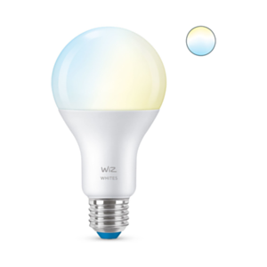 Philips WiZ 8718699786175 13W Blanco Wi-Fi - Bombilla Inteligente