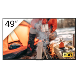 Sony 4K Linux 49" BRAVIA with Tuner for UK - Televisor