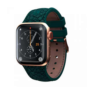 Njord byElements Vindur Watch Strap for Apple Watch 40/41mm - Correa para Electronica en GAME.es