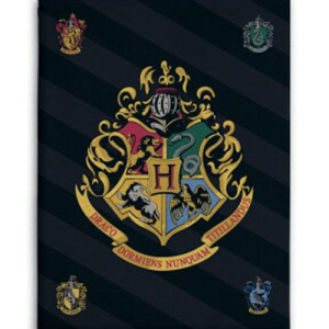 Manta polar Harry Potter