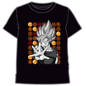 Camiseta Goku Dragon Ball Z adulto