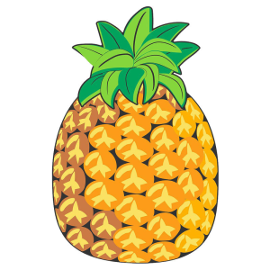 Toalla Piña microfibra