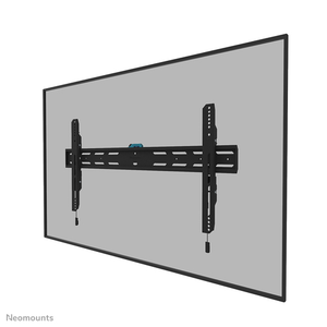 SCREEN WALL MOUNT FIXED VESA